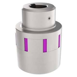 Flexible Coupling